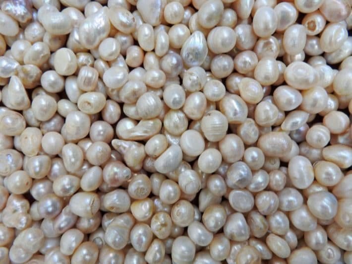 سعر جرام اللؤلؤ الطبيعي بالدولار