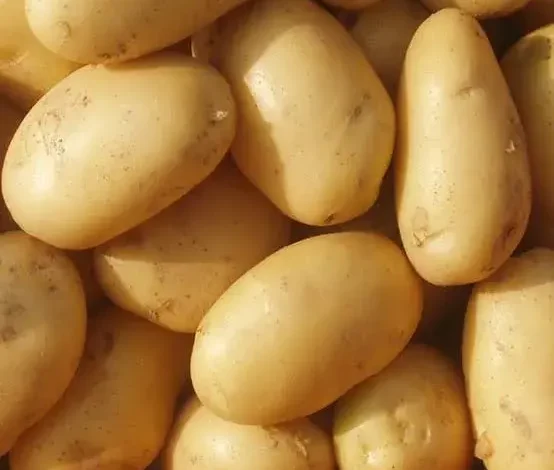 وزارة البيئة والمياه والزراعة