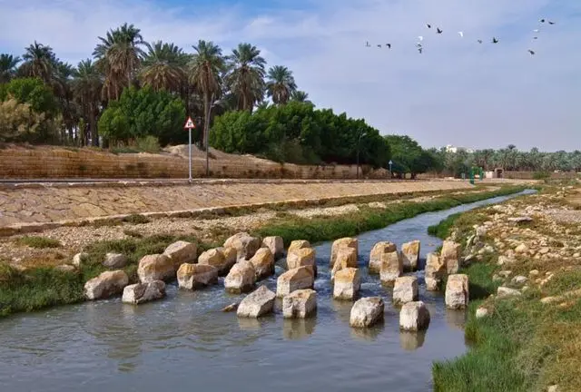 حديقة وادي حنيفة الرياض