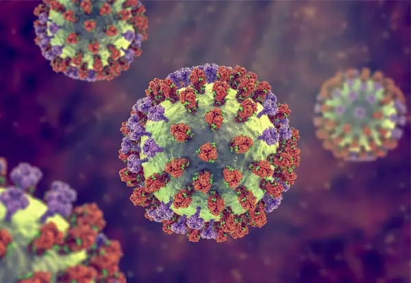 الإنفلونزا الموسمية