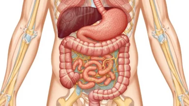 أفضل أطباء الجهاز الهضمي في المدينة المنورة