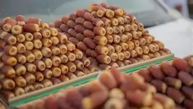 أفضل محلات التمور في المدينة المنورة
