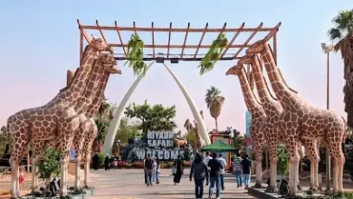 سفاري موسم الرياض