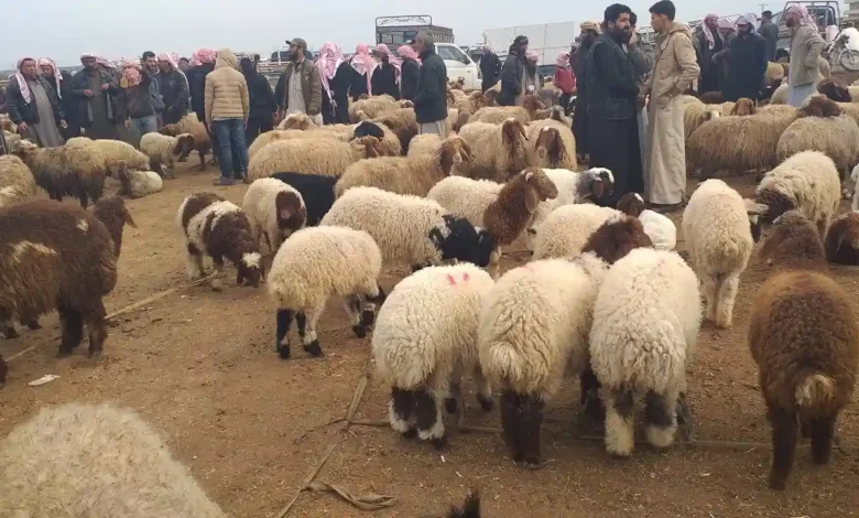 سوق الغنم في أبها